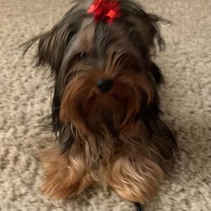 Meet your Posher, Kelley